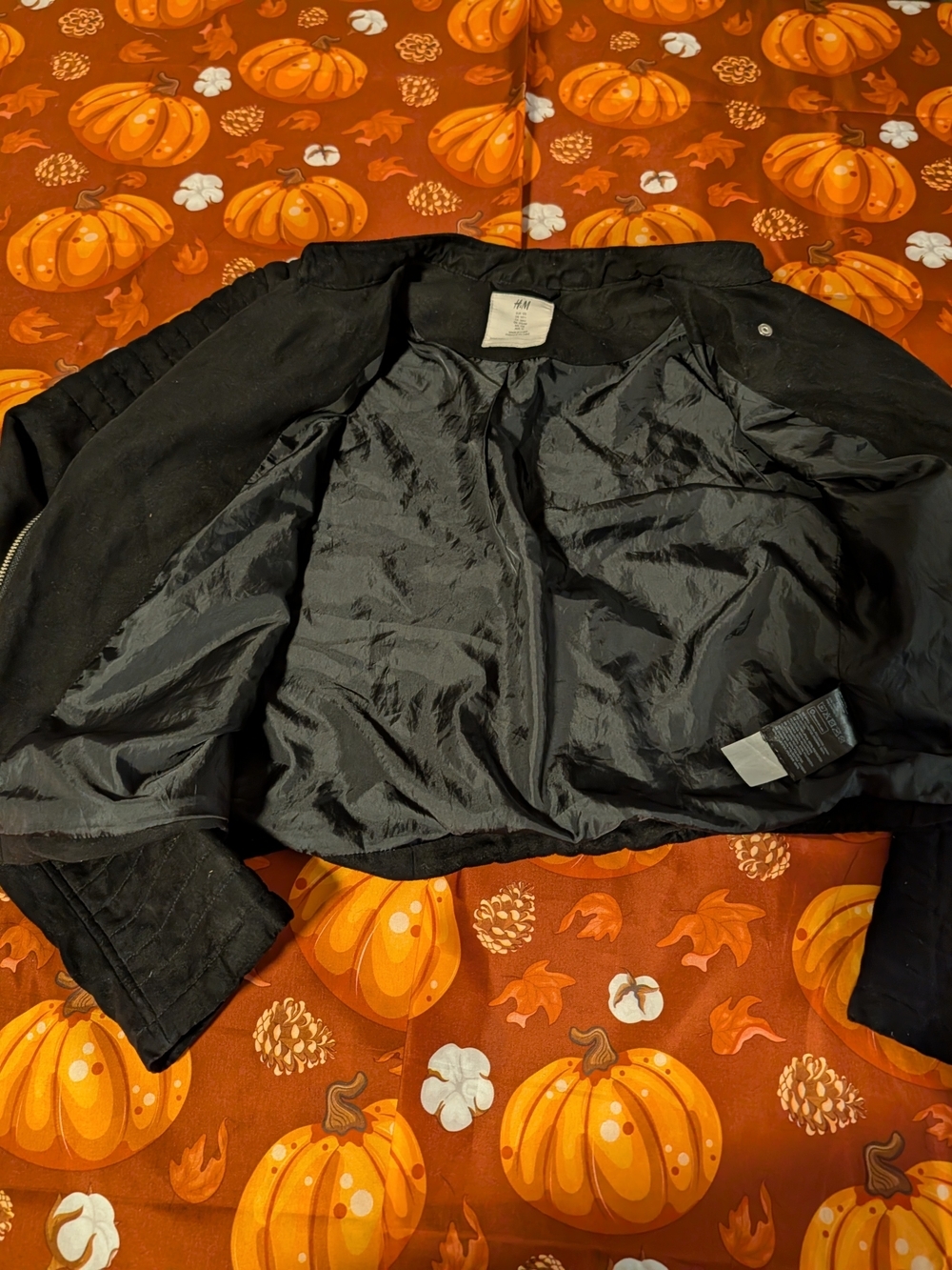 H&M Black Cropped Moto Jacket with Quilted Shoulders - Picture 5 of 6